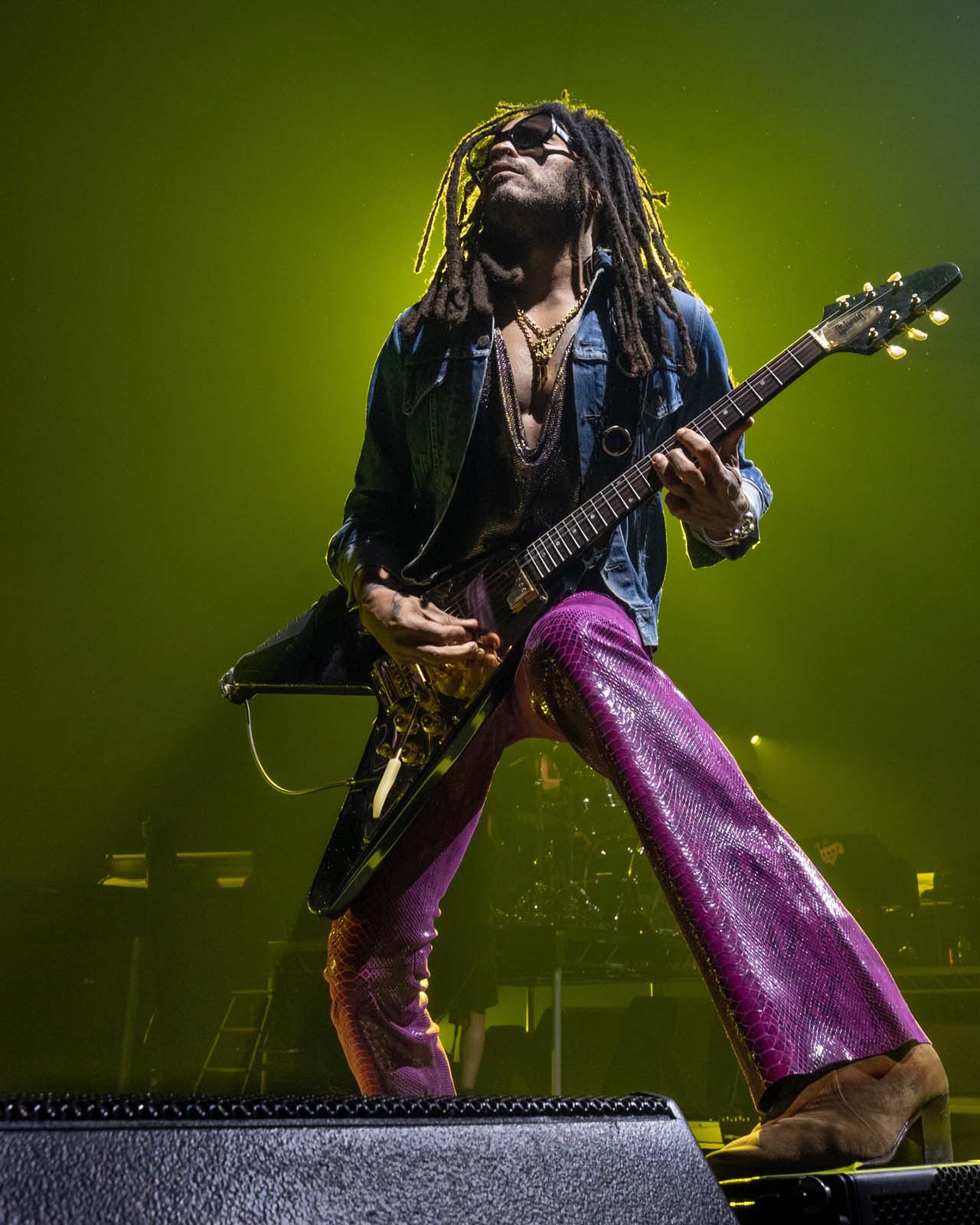 Lenny Kravitz intră în universul James Bond