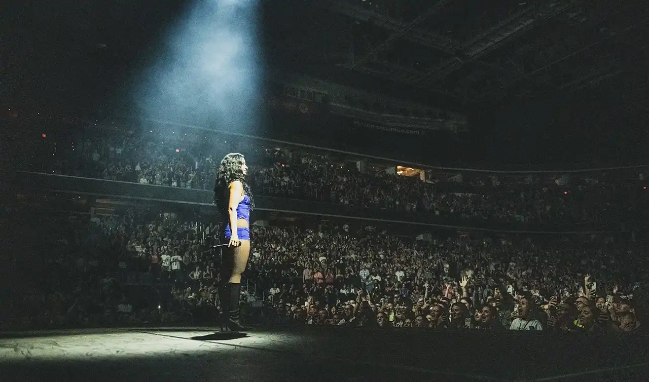 Poză cu Demi Lovato în concert