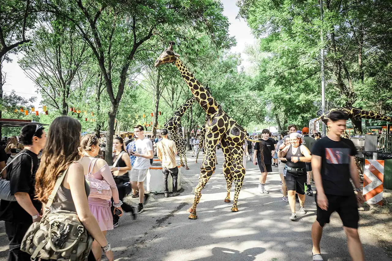 Poza Sziget Festival