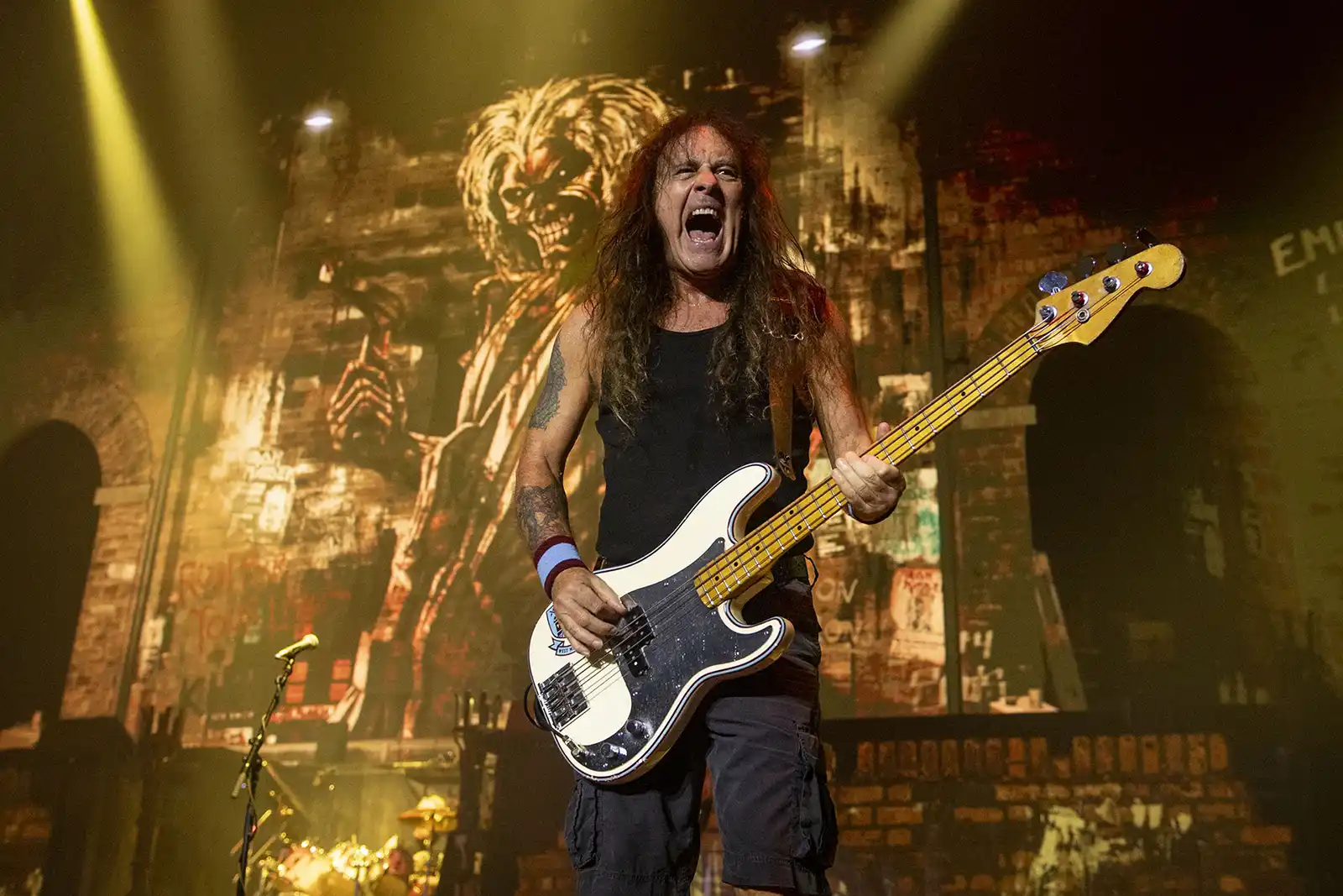 Concert IRON MAIDEN București - Program și regulament de acces