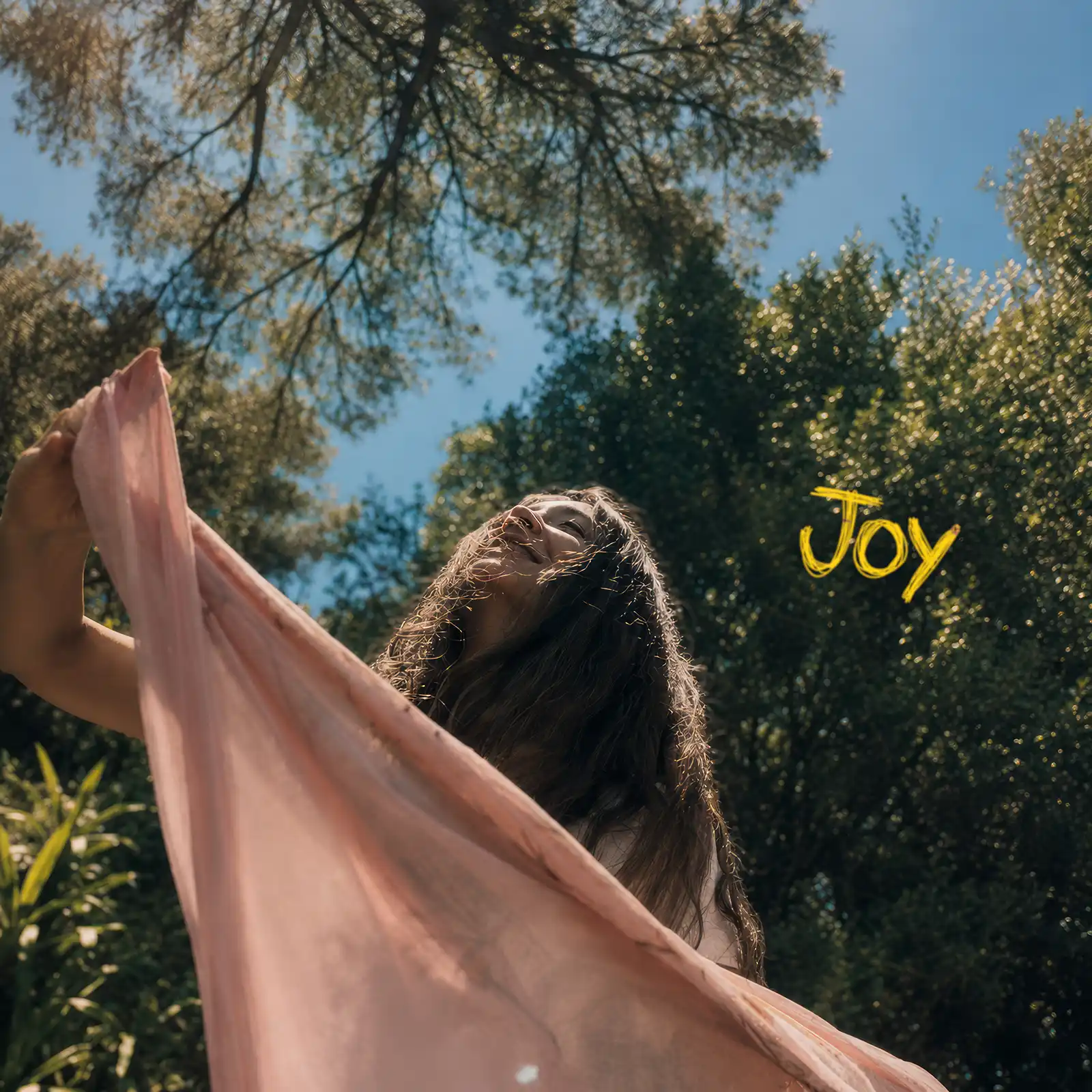 Ligia Hojda lansează „Joy”, un single indie-folk pop Ligia Hojda lansează „Joy”, un single indie-folk pop