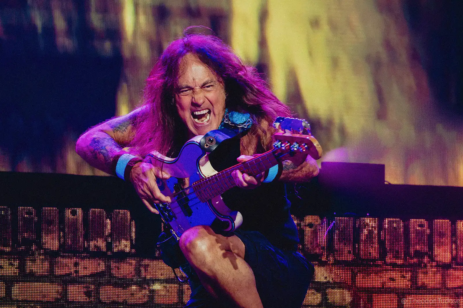 Planeta Maiden - Infinite Dreams Poza concert Iron Maiden
