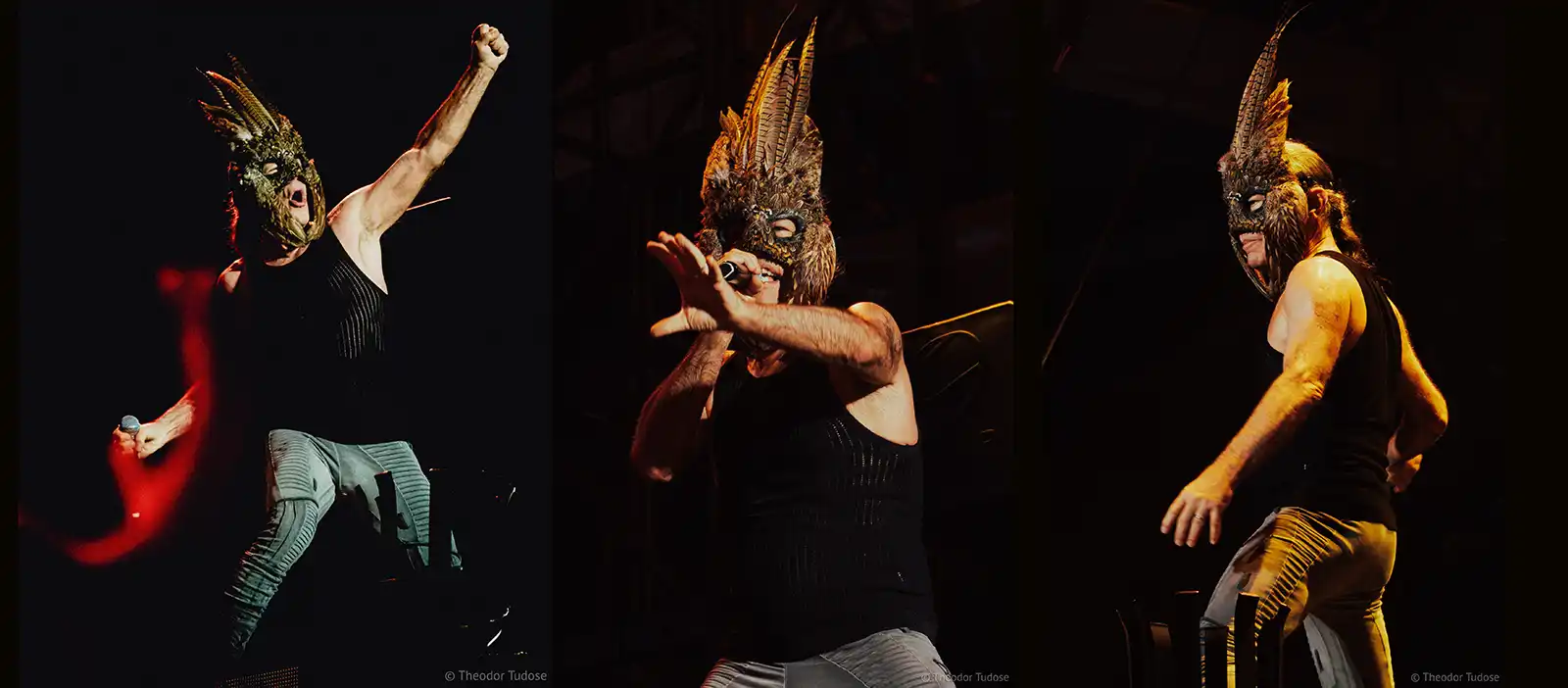 Planeta Maiden - Infinite Dreams Poza concert Iron Maiden