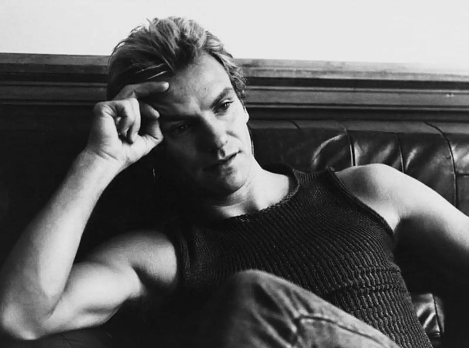 Sting - din trecut în prezent Sting - din trecut în prezent