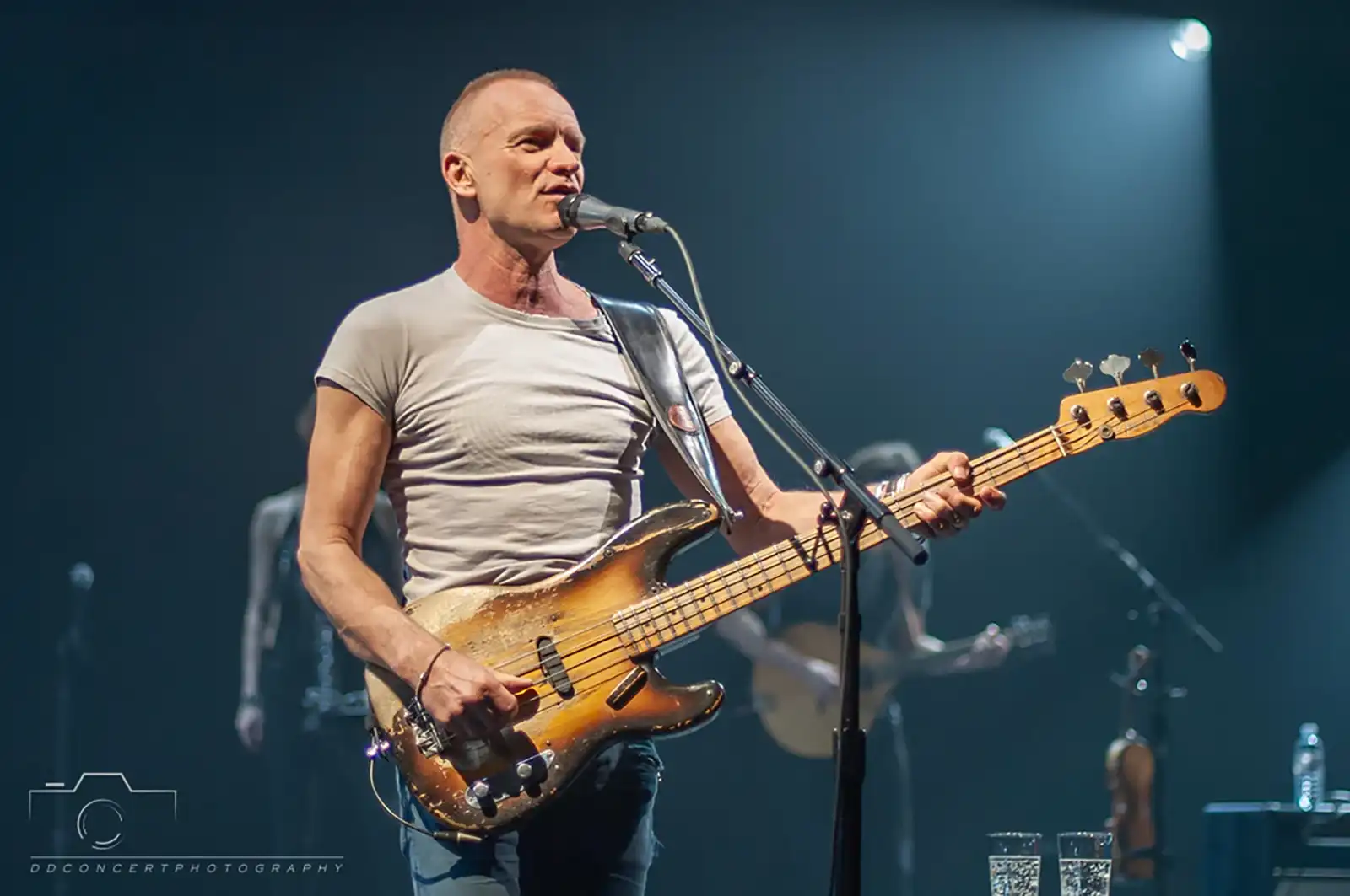 Sting - din trecut în prezent Sting - din trecut în prezent