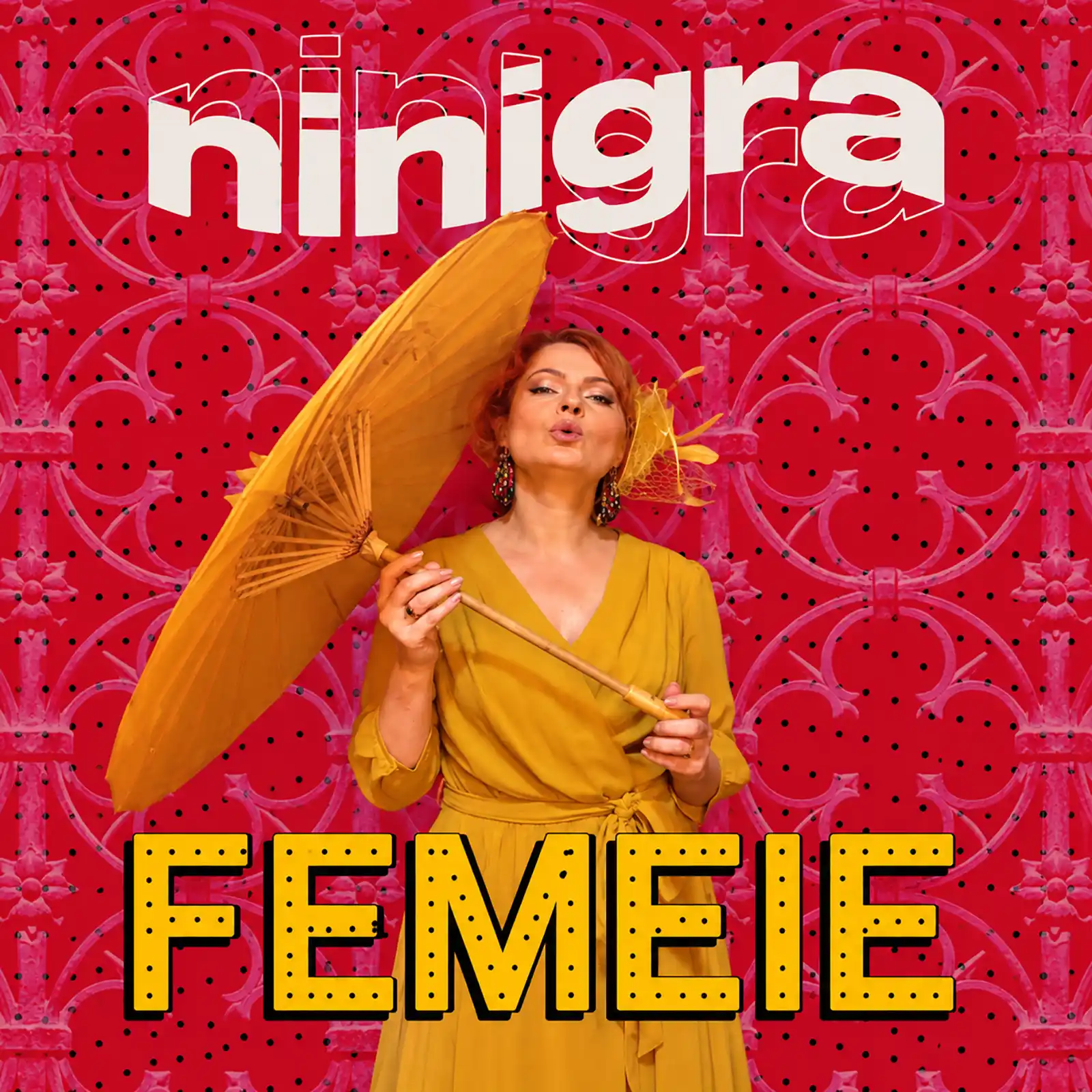 Ninigra – un proiect pe cale să devină trupă